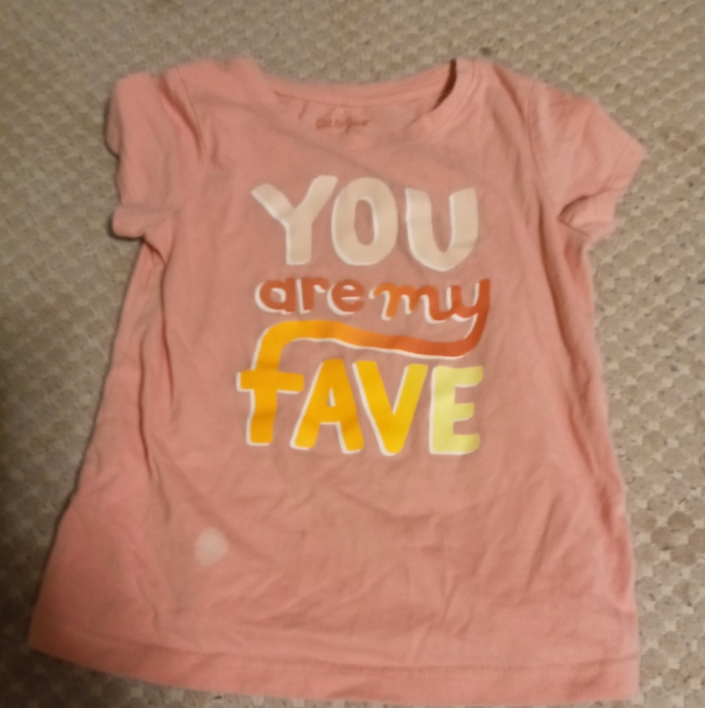3t girls clothing bundle